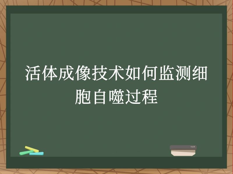 活体成像技术如何监测细胞自噬过程
